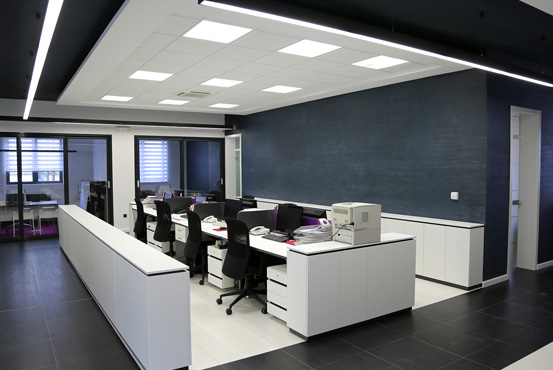 Vestibulum sed lobortis magna, eget