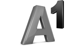 A1